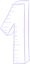 Custom Payment Links
